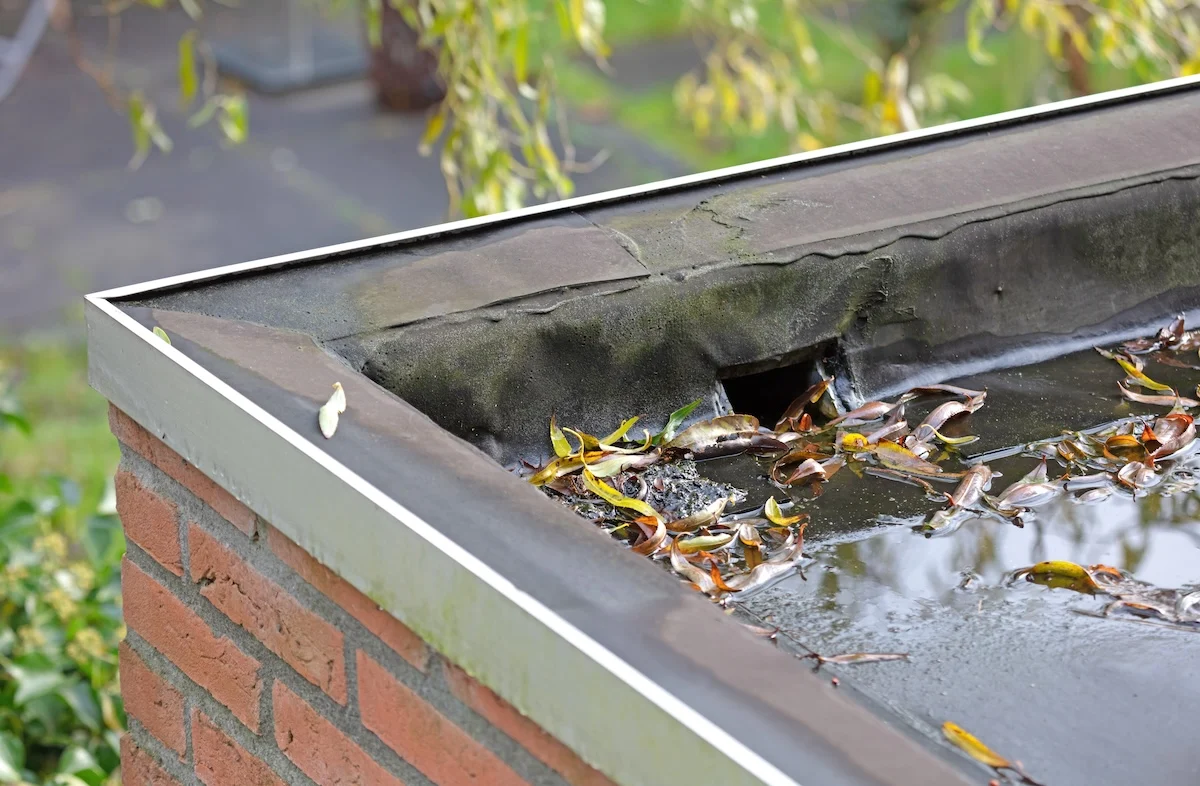 Drain Cleaning Repair